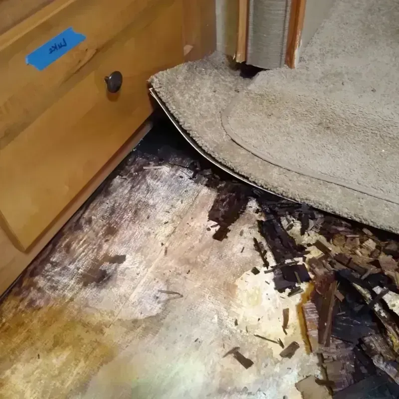 Wood Floor Water Damage in Stallings, NC